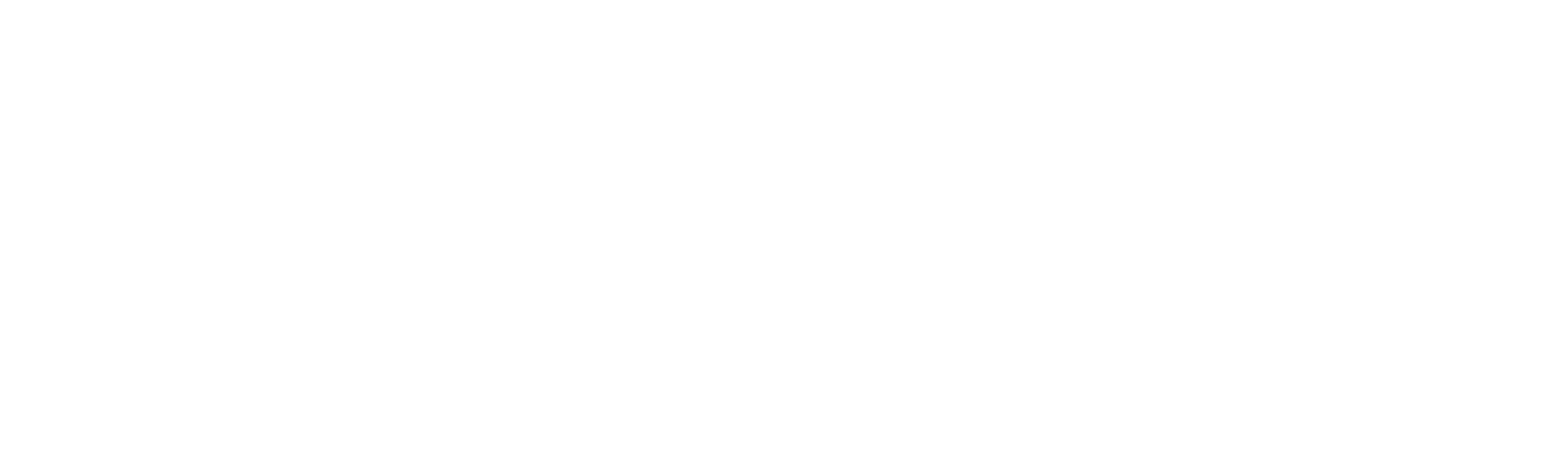 plannel_logoY_w.png